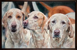 Trio by Debbie Boon - Original Painting on Box Canvas sized 43x28 inches. Available from Whitewall Galleries